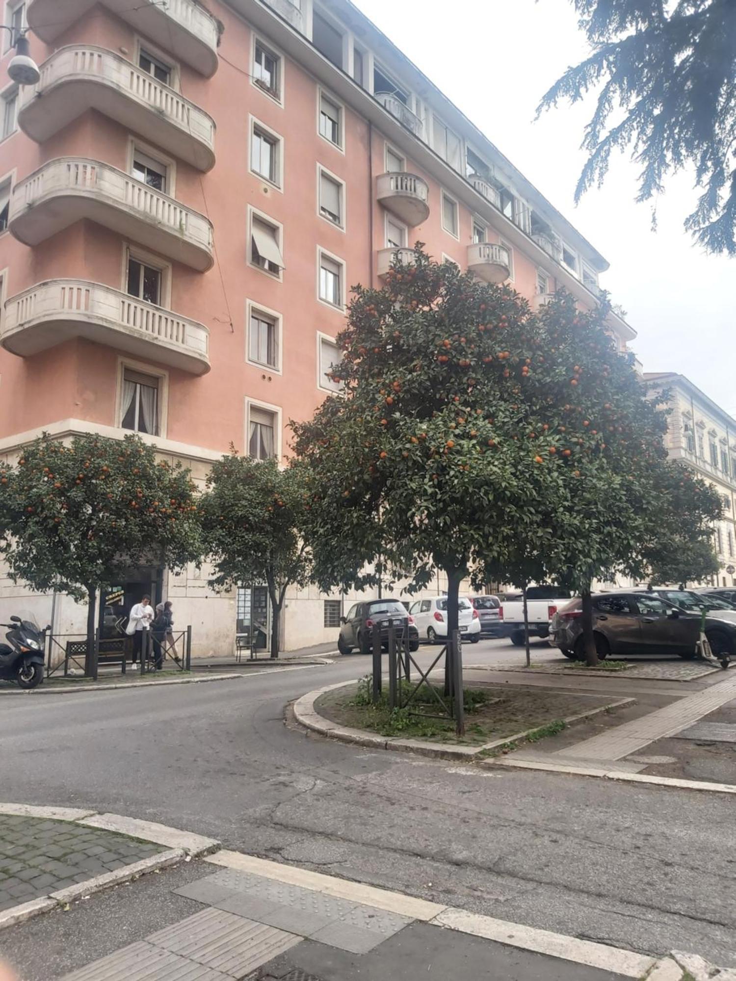 Holiday Colosseum Rome Bed & Breakfast エクステリア 写真